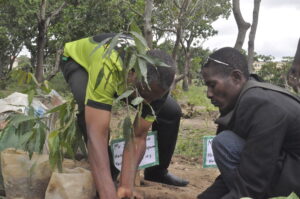 TREE PLANTING