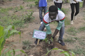 Chun Lambo Tree Planting