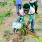 How Afforestation Fights Climate Change