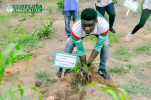 How Afforestation Fights Climate Change